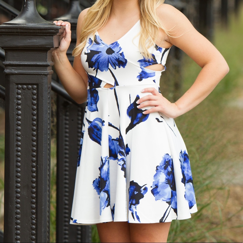 Dry Goods fit and flare dress